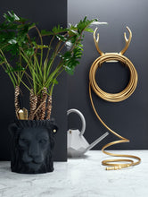 GARDEN GLORY VATTENSLANG, GOLD DIGGER